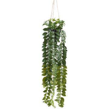 Decorazione da appendere Columnea SEHNDAS in vaso decorativo, verde, 85 cm