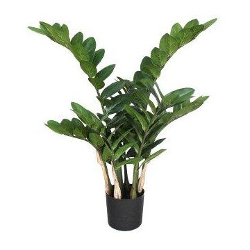 Pianta artificiale Zamioculcas AHLEON, 70 cm Pianta artificiale Zamioculcas AHLEON, 70 cm