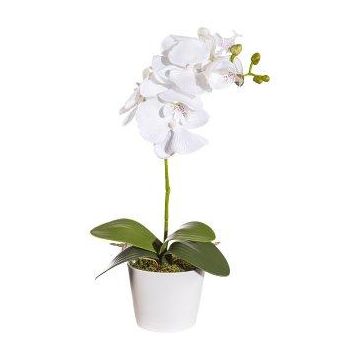 Fiore decorativo Phalaenopsis orchidea TRALKE, bastoncino, radici, bianco, 40 cm