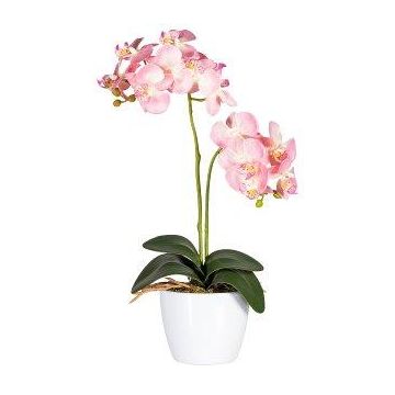 Fiore decorativo Orchidea Phalaenopsis FRUXO, stelo, radici, rosa, 50 cm