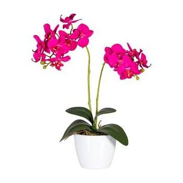 Fiore decorativo orchidea Phalaenopsis FRUXO, bastoncino, radici, rosa, 50 cm