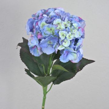Ortensia finta ANGELINA, blu-viola, 70cm, 23cm