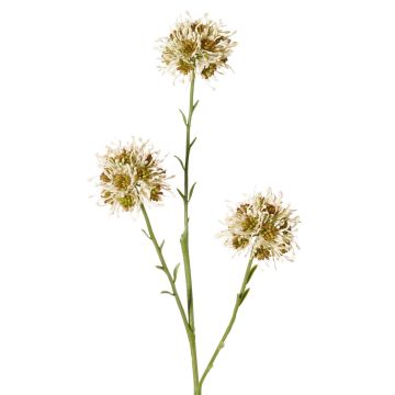 Ramo di allium artificiale ZEBU, color crema, 65 cm, Ø 6 cm Ramo di allium artificiale ZEBU, color crema, 65 cm, Ø 6 cm
