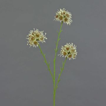 Ramo di allium artificiale ZEBU, color crema, 65 cm, Ø 6 cm