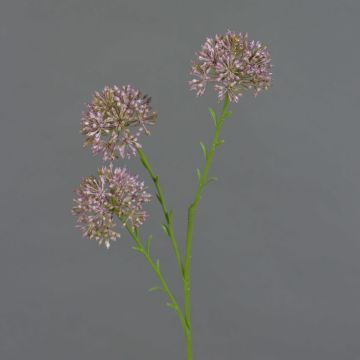 Ramo decorativo Allium ALIKIO, viola, 65 cm, Ø 6,5 cm
