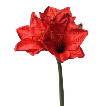 Amaryllis artificiale BENITA, rosso, 55cm, Ø10cm