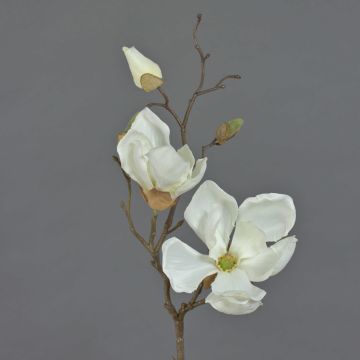 Ramo di magnolia artificiale MALBINE, crema, 50cm, Ø6-10cm