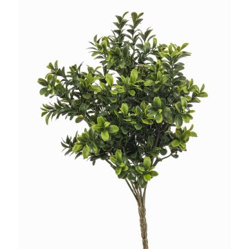 Pianta artificiale bosso TOM su bastone, crossdoor, 30 cm Pianta artificiale bosso TOM su bastone, crossdoor, 30 cm