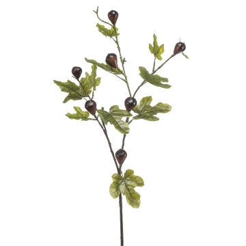 Ramo decorativo di fico PROWER con frutti, verde, 90 cm