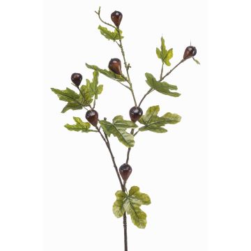 Ramo decorativo di fico PROWER con frutti, verde, 90 cm Ramo decorativo di fico PROWER con frutti, verde, 90 cm
