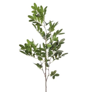 Ramo decorativo pistacchio WEXTOR, verde, 90 cm