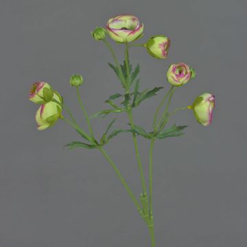 Ranuncolo artificiale YARIS, verde-rosa, 65cm, Ø3-4,5cm