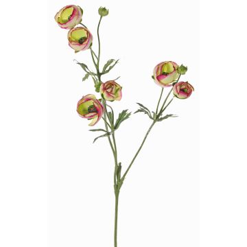 Ranuncolo artificiale YARIS, verde-fucsia, 65cm, Ø3-4,5cm Ranuncolo artificiale YARIS, verde-fucsia, 65cm, Ø3-4,5cm