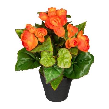 Fiore artificiale begonia SYLINA, vaso decorativo nero, arancione, 25 cm