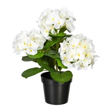 Fiore decorativo ortensia SLORFIN in vaso decorativo nero, bianco, 30 cm