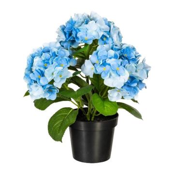 Fiore decorativo ortensia SLORFIN in vaso decorativo nero, blu, 30 cm