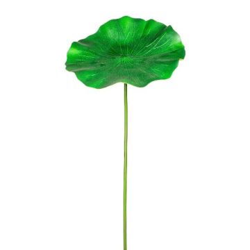 Foglia di ninfea in schiuma plastica LUDAPE, verde, 100 cm