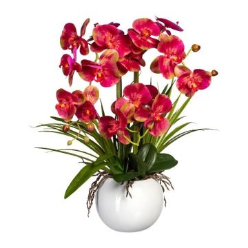 Composizione floreale artificiale orchidea Phalaenopsis TRALFEN con erba, vaso in ceramica, radici, rosa-verde, 60 cm