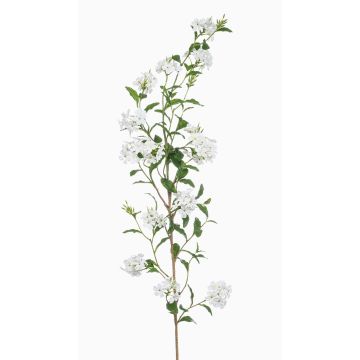 Ramo artificiale di gelsomino KLONDA, bianco, 140 cm Ramo artificiale di gelsomino KLONDA, bianco, 140 cm