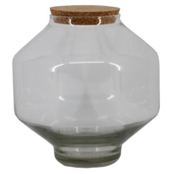 Terrario per piante MAGNUN, vetro, tappo di sughero, base, trasparente, 20 cm, Ø 16 cm