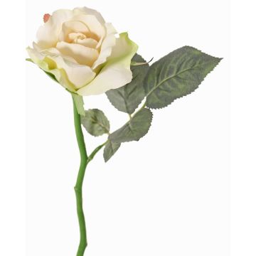 Rosa finta ELLI, crema-rosa, 30cm, Ø6,5cm Rosa finta ELLI, crema-rosa, 30cm, Ø6,5cm