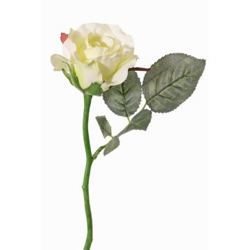 Rosa finta ELLI, crema-bianco, 30cm, Ø6,5cm Rosa finta ELLI, crema-bianco, 30cm, Ø6,5cm