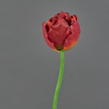 Tulipano pappagallo finto LAARA, rosso-arancione, 25cm, Ø7cm