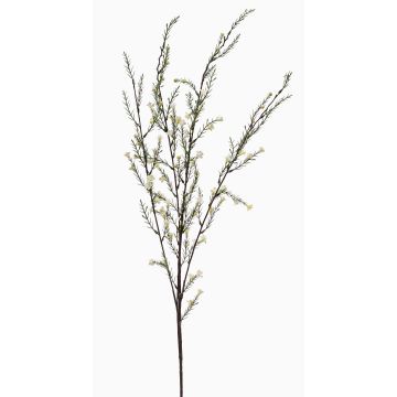 Ramo artificiale rosmarino HARBARD con fiori, crema, 115 cm Ramo artificiale rosmarino HARBARD con fiori, crema, 115 cm