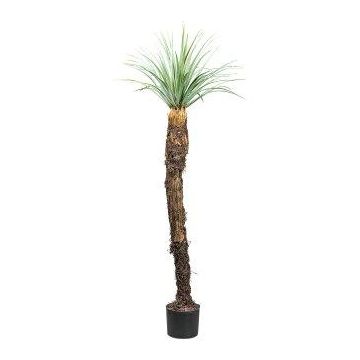 Palma artificiale Yucca CLATA, grigio-verde, 150 cm