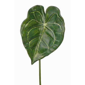 Foglia di anturio artificiale LUVINA, verde, 65cm Foglia di anturio artificiale LUVINA, verde, 65cm
