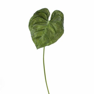 Foglia di anturio artificiale LUVINA, verde, 65cm