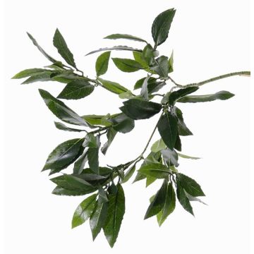 Ramo di alloro sintetico NAGISA, verde, 50cm Ramo di alloro sintetico NAGISA, verde, 50cm
