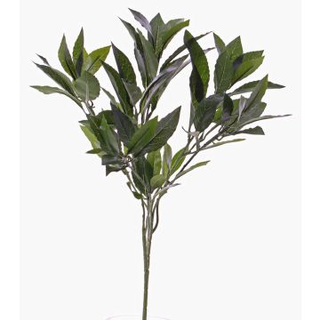 Ramo di alloro sintetico NAGISA, difficile infiammare, verde, 50cm Ramo di alloro sintetico NAGISA, difficile infiammare, verde, 50cm