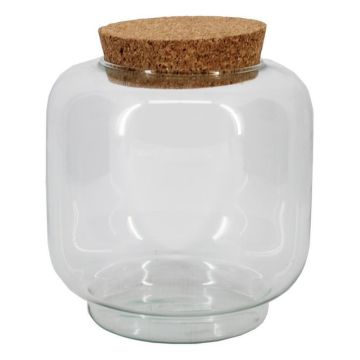 Terrario per piante PIKFO, vetro, tappo di sughero, base, riciclato, trasparente, 20 cm, Ø 17 cm