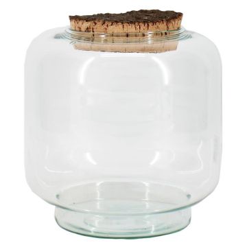Terrario per piante PIKFO, in vetro, tappo di sughero, base, riciclato, trasparente, 20 cm, Ø 17 cm