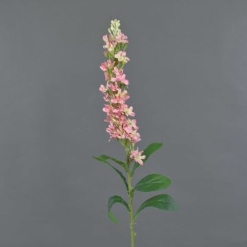 Fiore artificiale Levkoje DEVICA, rosa, 95 cm