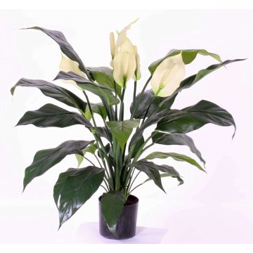 Spathiphyllum artificiale ABBY con fiori, bianco, 75cm Spathiphyllum artificiale ABBY con fiori, bianco, 75cm