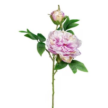 Fiore artificiale peonia FRILT, rosa, 55 cm