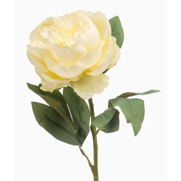 Fiore artificiale peonia IFEOMA, crema, 65 cm Fiore artificiale peonia IFEOMA, crema, 65 cm