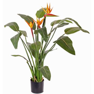 Strelizia finta DALILA, arancione-viola, 110cm, 17x22cm Strelizia finta DALILA, arancione-viola, 110cm, 17x22cm