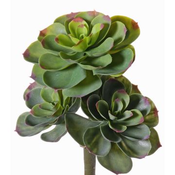 Echeveria sintetica NADIA, su stelo, verde-rosso, 30cm, Ø20cm Echeveria sintetica NADIA, su stelo, verde-rosso, 30cm, Ø20cm