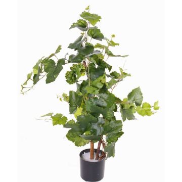 Vite finta JORINA, tronchi veri, resiste intemperie, verde, 60cm Vite finta JORINA, tronchi veri, resiste intemperie, verde, 60cm