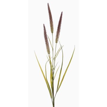 Ramo decorativo di codina di volpe TALOR con pannocchie, marrone-verde, 85 cm Ramo decorativo di codina di volpe TALOR con pannocchie, marrone-verde, 85 cm