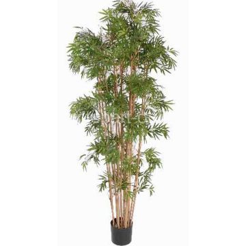 Bambù artificiale NARO, tronchi veri, 150cm