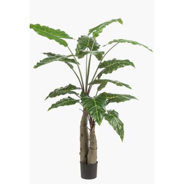 Pianta artificiale Alocasia Sanderiana ALBULA, verde, 150 cm