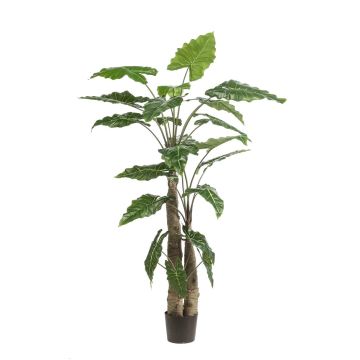 Pianta artificiale Alocasia Sanderiana ALBULA, verde, 180 cm