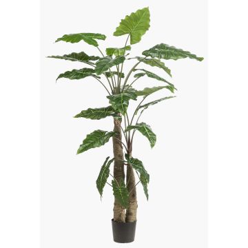 Pianta artificiale Alocasia Sanderiana ALBULA, verde, 180 cm