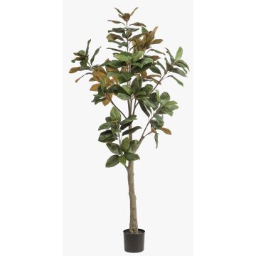 Albero di magnolia Yulan artificiale BELLITA, tronco artificiale, verde-oliva, 180 cm