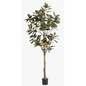 Albero di magnolia Yulan artificiale BELLITA, tronco artificiale, verde oliva, 210 cm