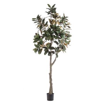 Albero di magnolia Yulan artificiale BELLITA, tronco artificiale, verde oliva, 240 cm